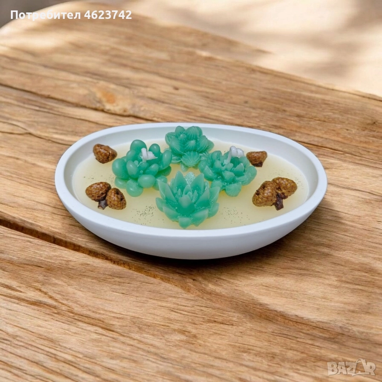 свещ сукулент, снимка 1