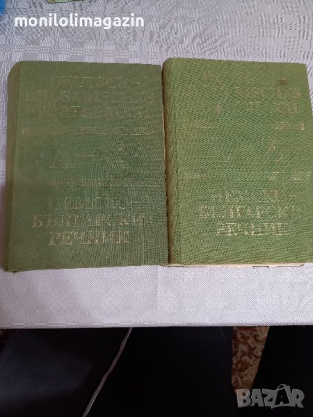 Немско-български подробни речници голям формат 1-2 том, обща цена , снимка 1