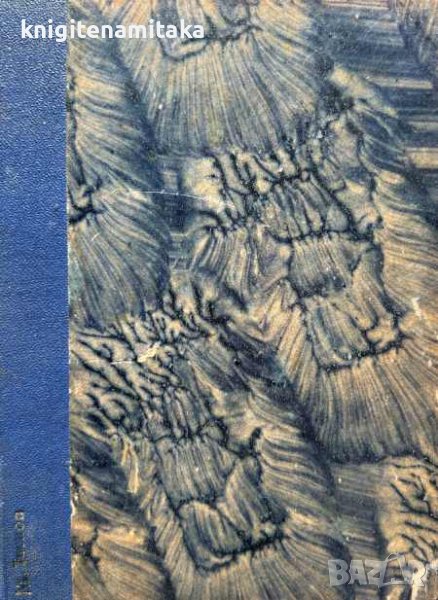 Буря въ сърдцата - Стефан Брашнаров, снимка 1