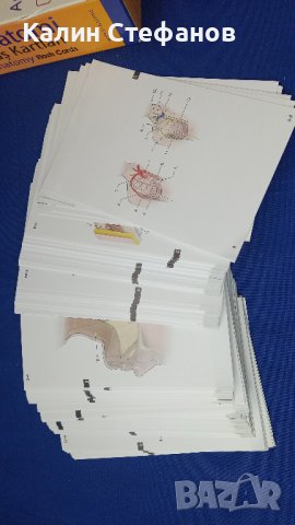 Учебни карти анатомия ANATOMI FLAS KARTLARI медицина турско издадетлство, снимка 4 - Ученически пособия, канцеларски материали - 42759044