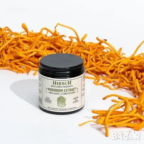 Hirsch Organic Cordyceps Sinensis екстракт на прах 50 г, снимка 6 - Хранителни добавки - 55871317