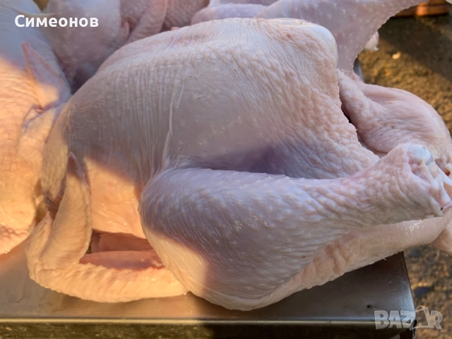 Пилета,петлета