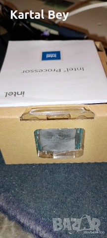 професор Интер