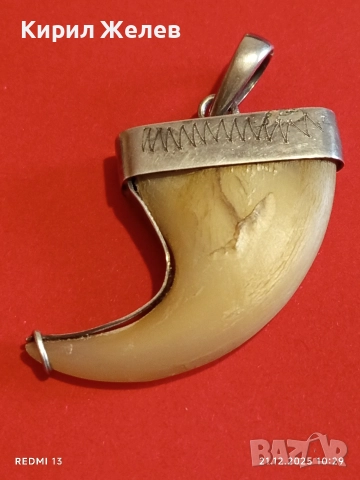 Сребърен медальон с тигров нокът с Индийски дизайн и сребърен обков 51789, снимка 9 - Колиета, медальони, синджири - 52863699