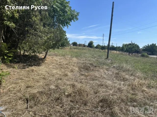  бившата ветеринарна лечебница / имот / в град Алфатар , до град Силистра . -цена 10000 лв или 5112,, снимка 7 - Други - 49801416