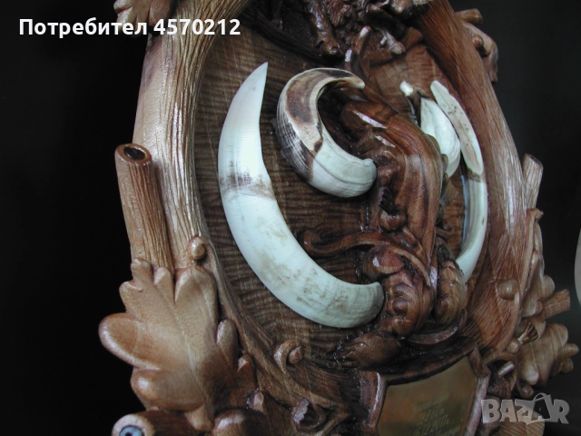 Поставка за ловен трофей, Поставка за глиги, Дърворезба по поръчка, Поставка за зъби от диво прасе, снимка 12 - Декорация за дома - 51443828
