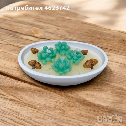 свещ сукулент