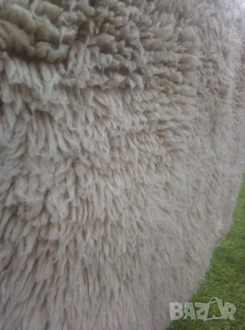 Китеник, халище,губер, снимка 2 - Други ценни предмети - 37878951