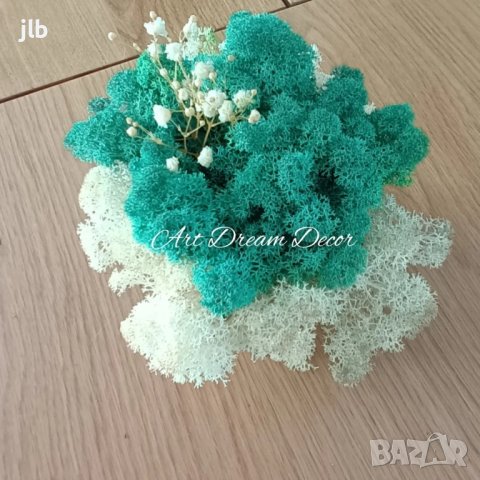 Живи картини и декорации от стабилизиран Скандинавски мъх, снимка 9 - Декорация за дома - 44164853