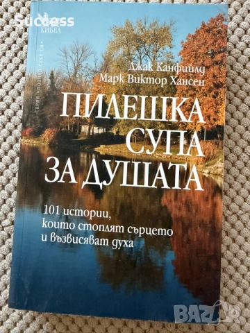 Пилешка супа за душата