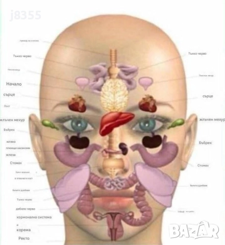 Професионален Масаж квартал Витоша , снимка 10 - Масажи - 50399802