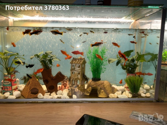 Продавам аквариум 120 литра + външна помпа за филтриране 