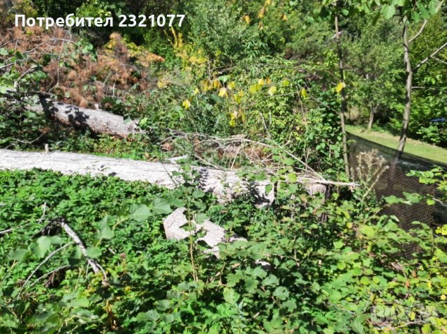 Борови трупи, снимка 4 - Строителни материали - 38176102