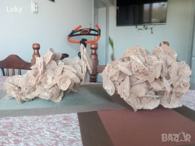 Огромни и прекрасни Пустинни рози от Сахара.Обявената цена е за двете., снимка 3 - Колекции - 47318818