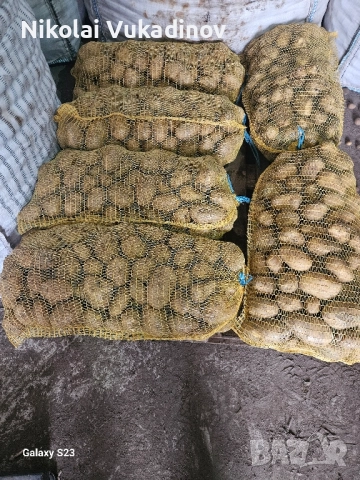 Картофи Сорая за консумация , снимка 9 - Домашни продукти - 52511378