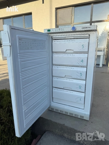 Фризер Либхер 