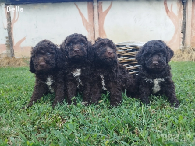 Лагото Романьоли , снимка 1