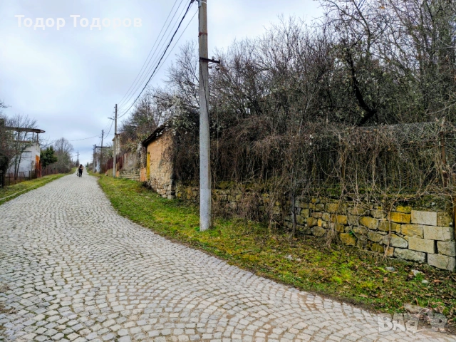 Парцел в с. Дивля, област Перник, снимка 12 - Парцели - 54305864