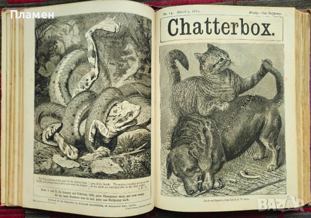 Chatterbox. Numbers 1-52 /1870/, снимка 10 - Антикварни и старинни предмети - 52320299