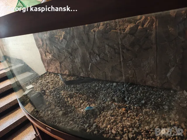 Аквариум , снимка 2 - Аквариуми - 48057962