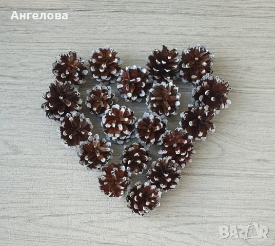 Шишарки, 0.10ст., снимка 2 - Други - 47569078