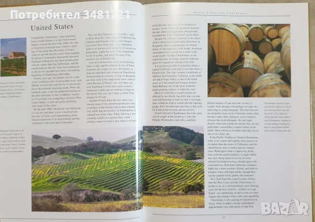 Голям справочник - вината по света / The New Illustrated Guide to Wine, снимка 4 - Кулинария - 55817404