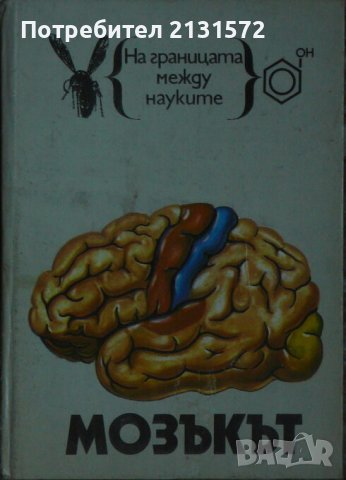 Мозъкът - Наум Якимов