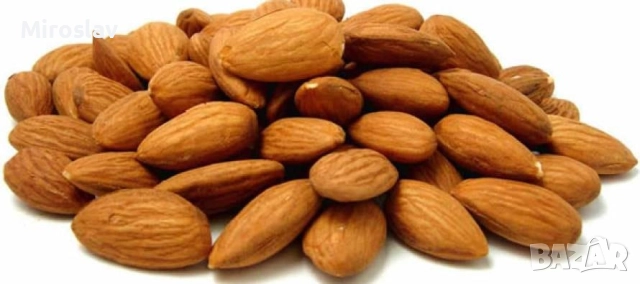 Бадем (Prunus dulcis)-150-160см., снимка 5 - Градински цветя и растения - 52372480