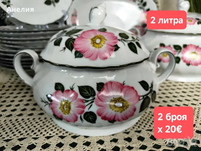 Winterling Bavaria дива роза за хранене , снимка 4 - Чинии - 55711779