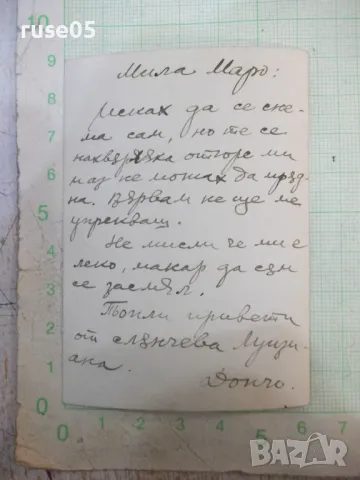 Снимка стара на група в гората в Америка - 1, снимка 2 - Колекции - 48081519