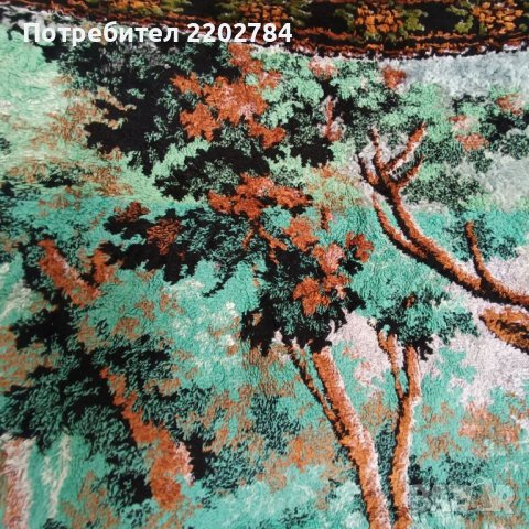 Два ковьора,ковьор, снимка 8 - Антикварни и старинни предмети - 40070692