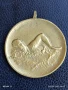 Рядък медал ПЪРВО МЯСТО ЦС ДОСО 50м. гръб жени 1953г. за КОЛЕКЦИОНЕРИ 28159, снимка 3