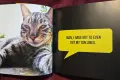 Cat Selfies албум     , снимка 6