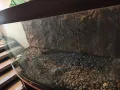 Аквариум , снимка 2