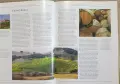 Голям справочник - вината по света / The New Illustrated Guide to Wine, снимка 4