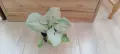 Филодендрон (Philodendron) / Сингониум (Syngonium), снимка 6