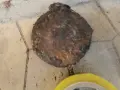 СТАРО АНТИЧНО ГЮЛЕ 1/2 1908261059, снимка 6