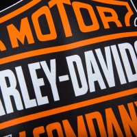 Нов детски суичър с трансферен печат Harley Davidson, мотори, Харли Дейвидсън, снимка 5 - Детски анцузи и суичери - 34549626