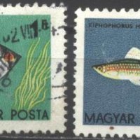 Клеймовани марки Фауна Риби 1962 от Унгария, снимка 1 - Филателия - 42018017