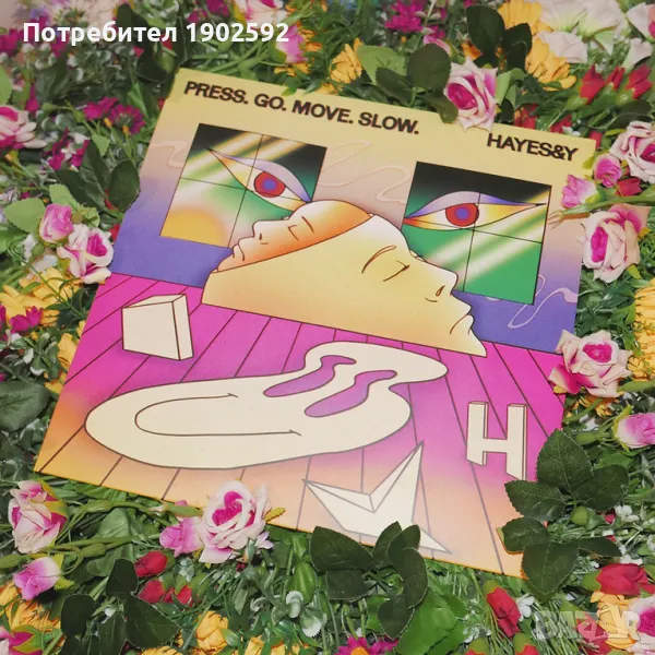  Hayes & Y - "Press. Go. Move. Slow.", снимка 1