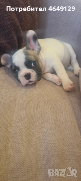 Продава се, снимка 1