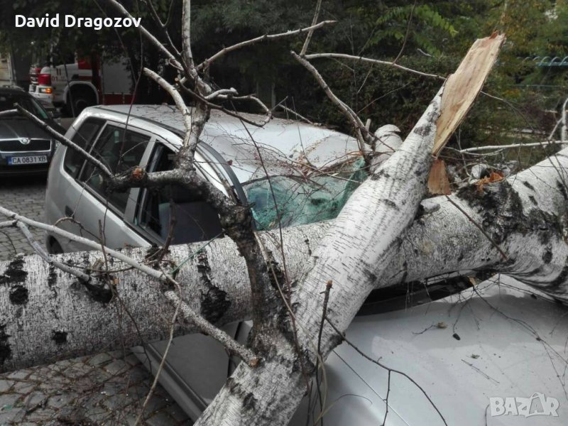 Mitsubishi Space Star 1.9 DI-D, снимка 1