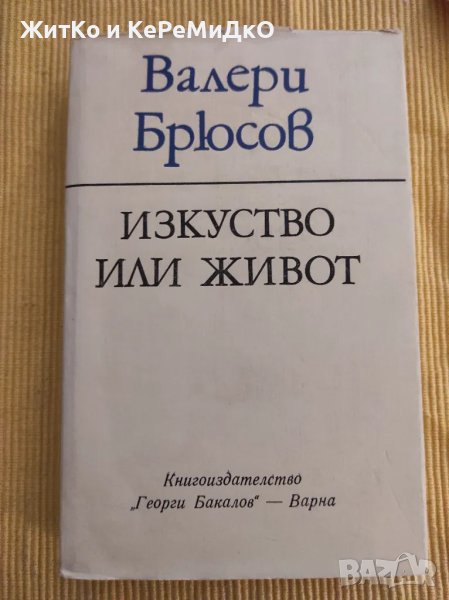 Валери Борисов - Изкуство или живот, снимка 1