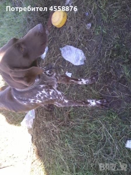 подарявам драдхар, снимка 1