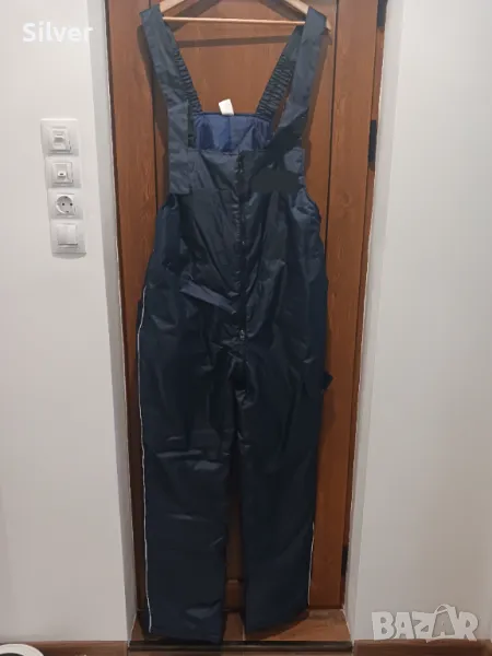 Зимен гащирозон, снимка 1