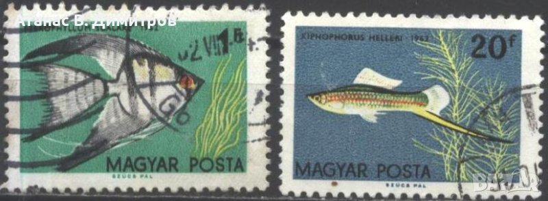 Клеймовани марки Фауна Риби 1962 от Унгария, снимка 1
