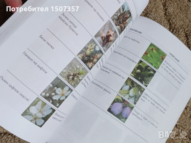 Ръководство за интегрирано управление на вредителите при овощни култури, снимка 6 - Специализирана литература - 51172995