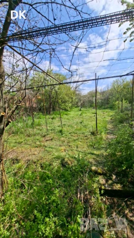 Къща село Елхово общ. Николаево обл. Ст. Загора , снимка 3 - Къщи - 54276252