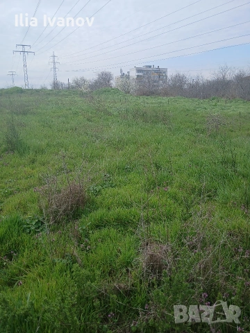 косене на трева треви храсти бурени тръни