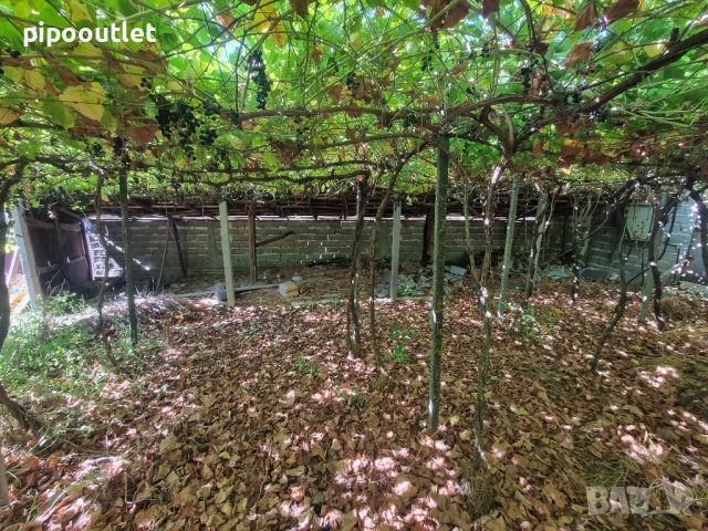 Продава се масивна сграда с двор – с. Марикостиново, общ. Петрич, снимка 5 - Къщи - 51583145